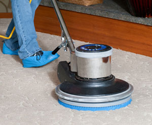carpet cleaning prompt