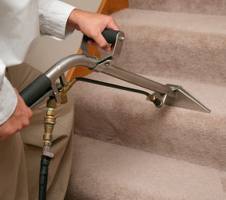 carpet cleaning services